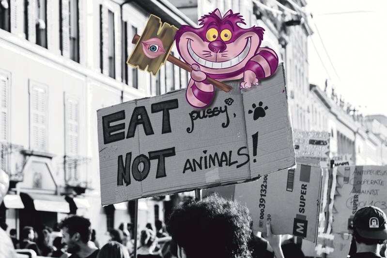 Vegan Cheshire Cat